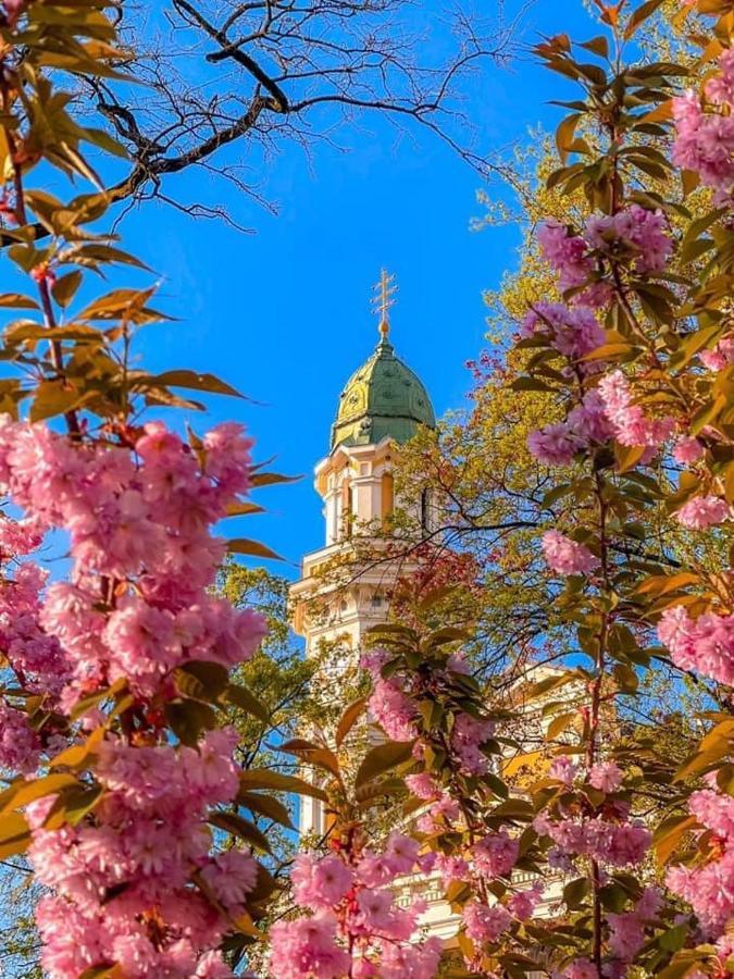 Старовинні Апартаменти У Центрі Міста Uzjhorod Eksteriør bilde